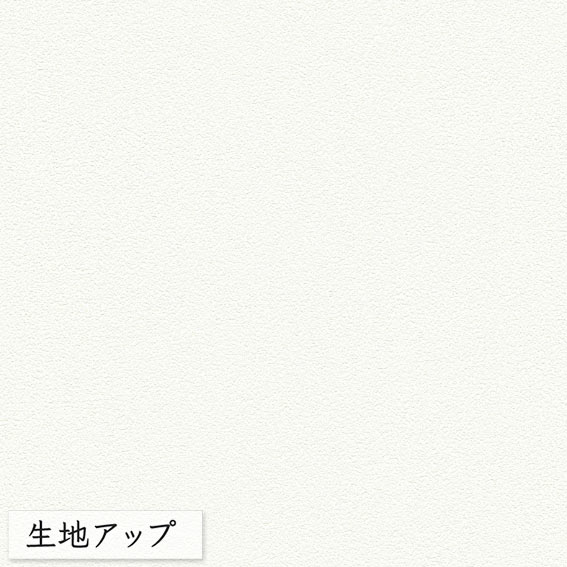 壁紙 のりなし ビニールクロス シンコール BIG ACE 機能の家 プロジェクター用クロス BA6039 （1m単位）｜pocchione-kabegami｜02