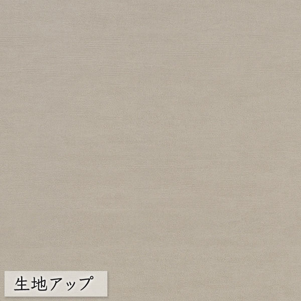 壁紙 のりなし ビニールクロス 東リ POWER1000 Pattern ジャパン WVP4002 （1m単位）｜pocchione-kabegami｜02