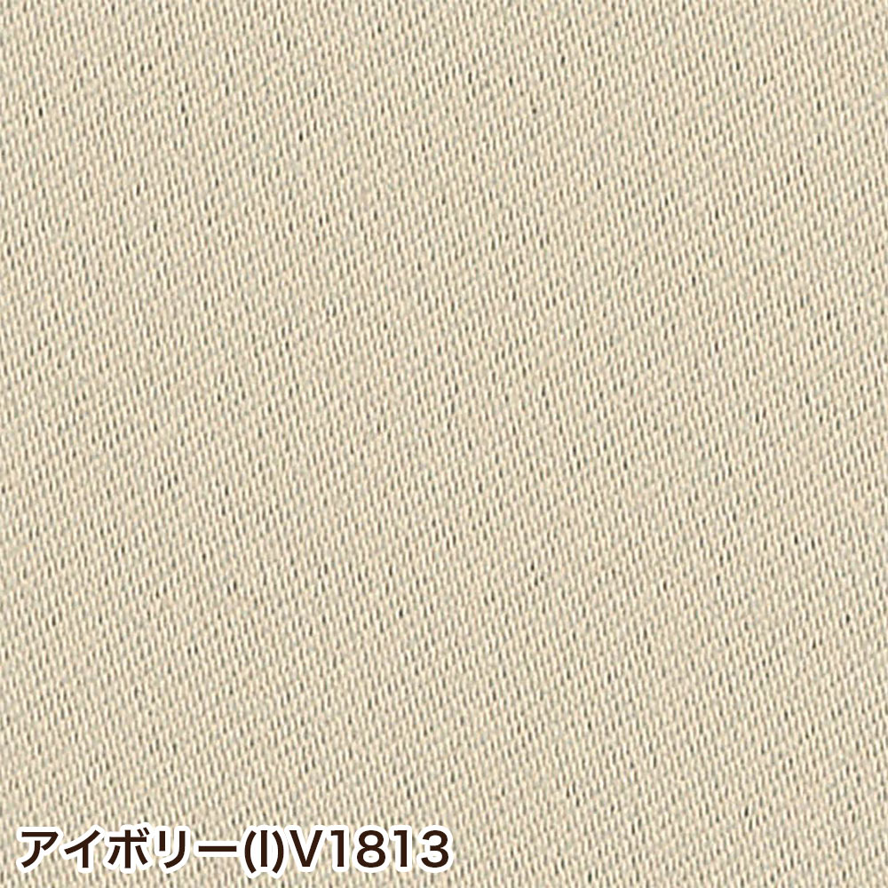 イージーオーダーカーテン ドレープ DESIGN LIFE 「プライム2」 201〜300×201〜260cm_1