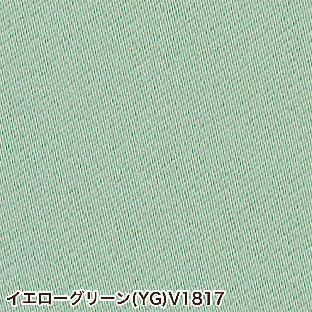 イージーオーダーカーテン ドレープ DESIGN LIFE 「プライム2」 201〜300×201〜260cm_5