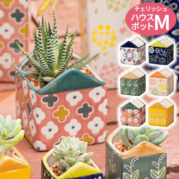 ポッチワン - Yahoo!ショッピング