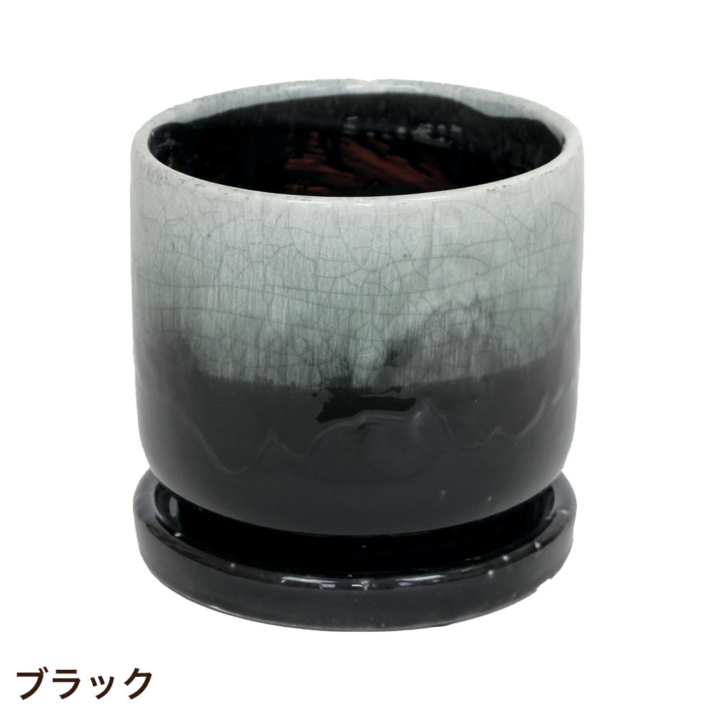丸鉢二点組 未使用 新品同様 プラ鉢2.5号鉢【A-25】100個 他 スリット鉢 丸 プレステラ 多肉植物