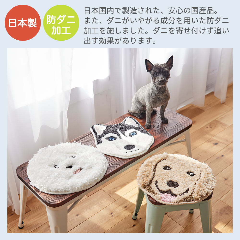 スミノエ チェアパッド チェアクッション 座布団 日本製 犬顔 イヌカオ