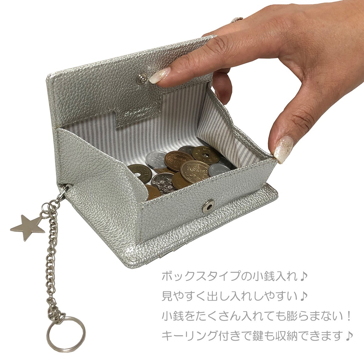 ピソラロ Pisoraro スタージェリーフラグメントケース 薄型財布
