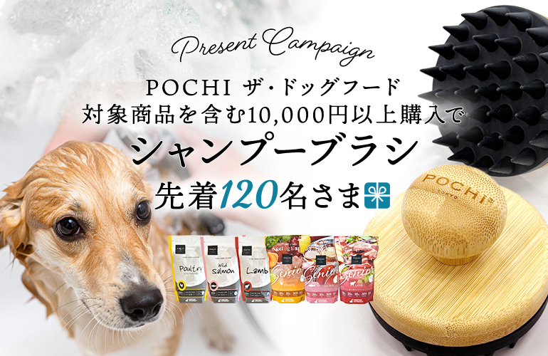 POCHI (ポチ) ザ・ドッグフード ベーシック ワイルドサーモン