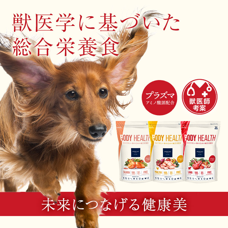 POCHI（ポチ） ボディヘルス ワイルドサーモン 50g お試し 成犬用