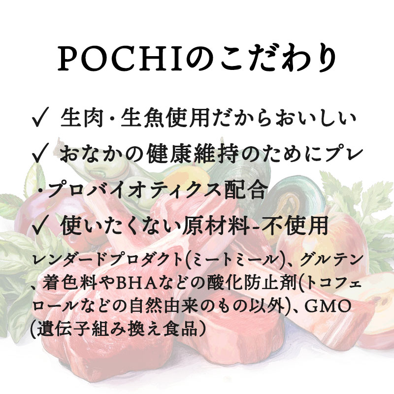 POCHI（ポチ） ボディヘルス ワイルドサーモン 3kg 成犬用