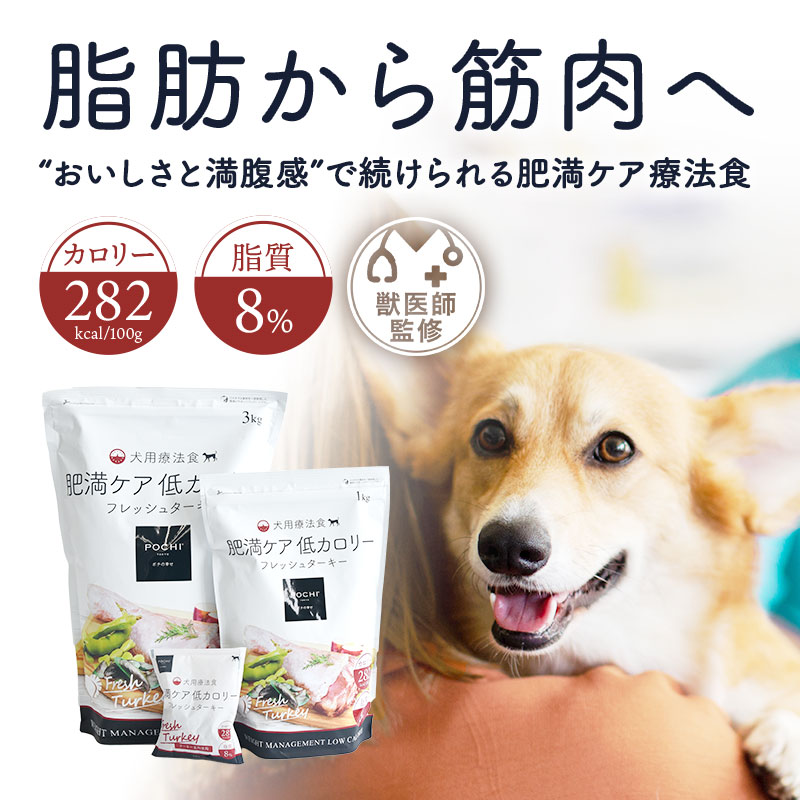 【発売記念20%オフ】POCHI (ポチ) 食...の詳細画像4