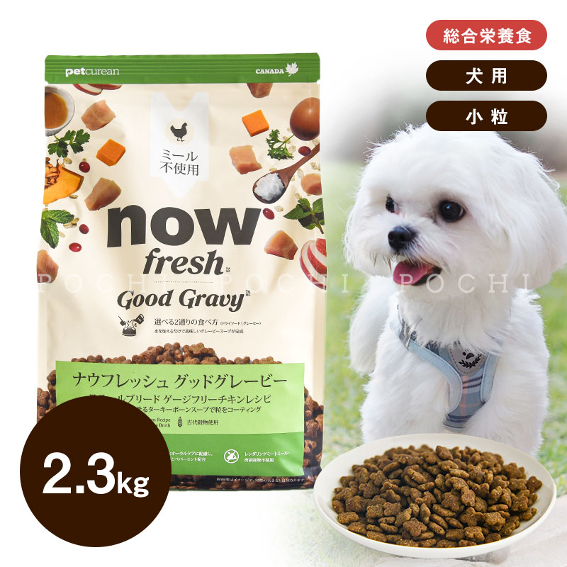 ナウフレッシュ (NOW Fresh) DOG グッドグレービー スモールブリード ゲージフリーチキンレシピ 2.3kg　成犬用 ミールフリー