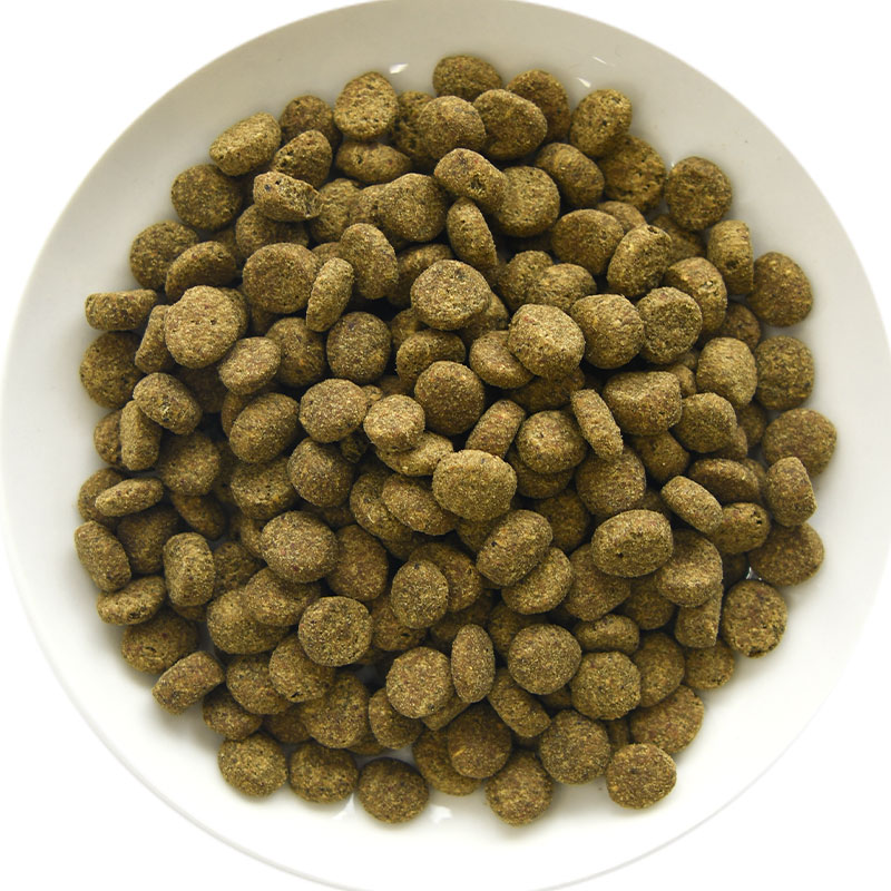 【発売記念20%オフ】POCHI (ポチ) 食...の詳細画像1