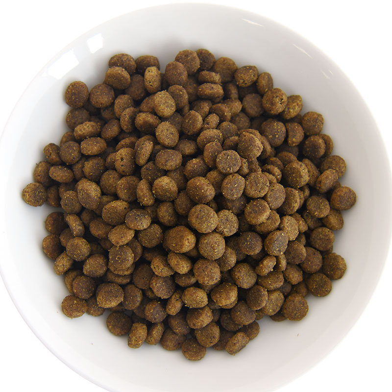 POCHI（ポチ） ボディヘルス ワイルドサーモン 50g お試し 成犬用