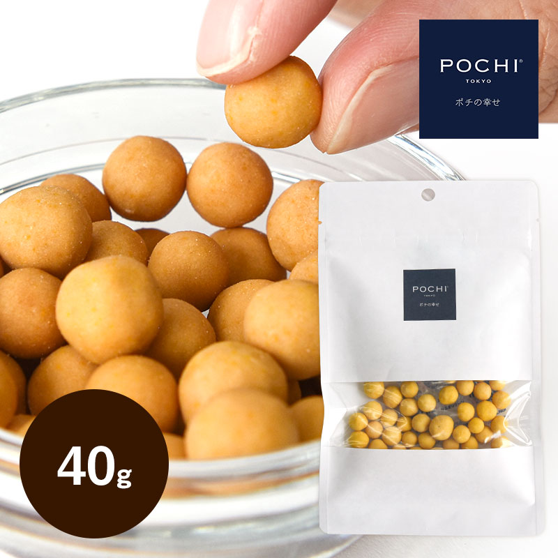 POCHI（ポチ） ナチュラルチーズボール 40g ドッグトリーツ 犬のおやつ