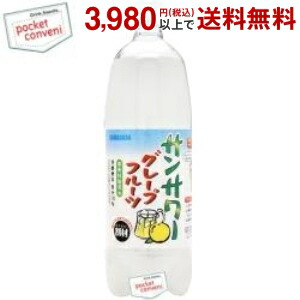 サンガリア サンサワーグレープフルーツ 1Lペットボトル 12本入 (1000ml)｜pocket-cvs