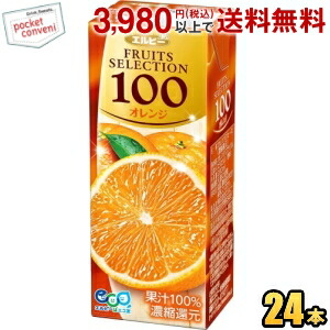 エルビー フルーツセレクション オレンジ100 200ml紙パック 24本入 果汁100% オレンジジュース｜pocket-cvs