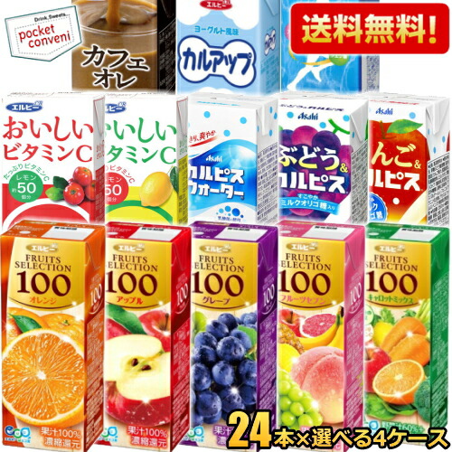 送料無料 エルビー紙パック飲料 選べる4ケース 計96本セット 果汁100