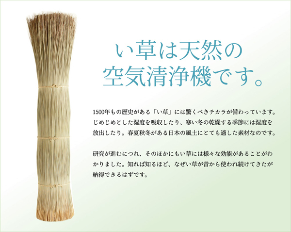 純国産/日本製 い草座布... : 家具・インテリア 袋織 織込千鳥 再入荷好評
