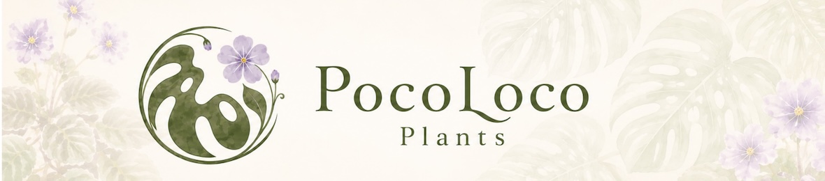 POCOLOCOプランツ ヘッダー画像