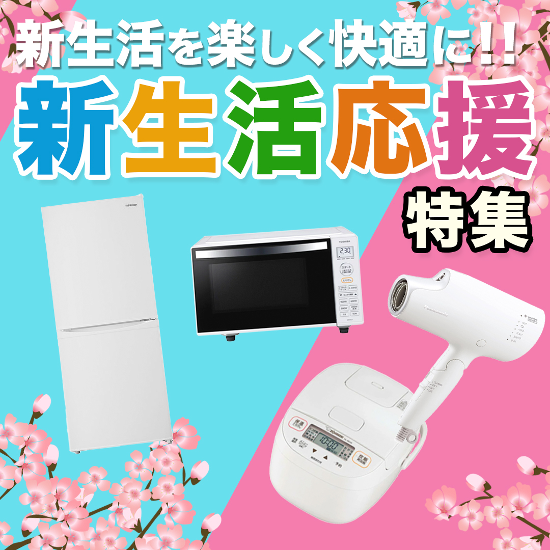 日本通信 BM-GTPL6C-1MC b-mobile 10GB×1ヶ月SIMパッケージ（ドコモ