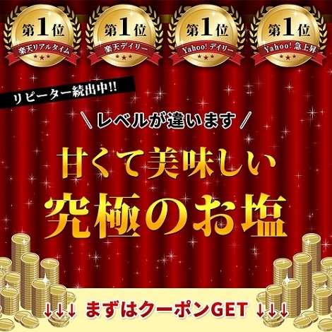 最安値 天日塩 天然塩 塩こまち 1kg 送料無料 プロの料理人も絶賛 流行に ミネラル豊富 塩 ぬか床 Paypay ぬか漬け 飲食店 ポイント消化 無添加 業務用