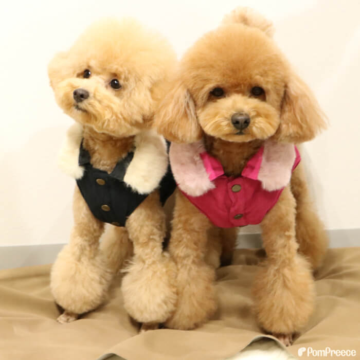 PomPreece 犬 犬服 犬冬服 犬用品 服 かわいい 可愛い おしゃれ