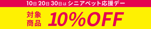 シニアデー