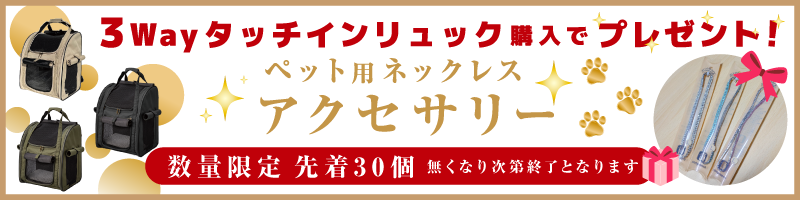 ネックレスプレゼント