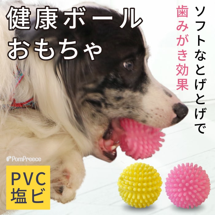 imgrc0249841055.jpg
