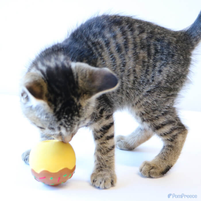 犬 猫のおもちゃ おもちゃ 音が鳴る 玩具 小型犬 猫 かわいい おもしろ
