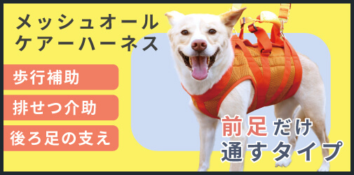 日本製 ポスト投函 犬用 猫用 ペット用 スプーン 音がしない やわらかい ソフト シリコン 離乳食 シニア 介護食 ソフトスプーン ポンポリース