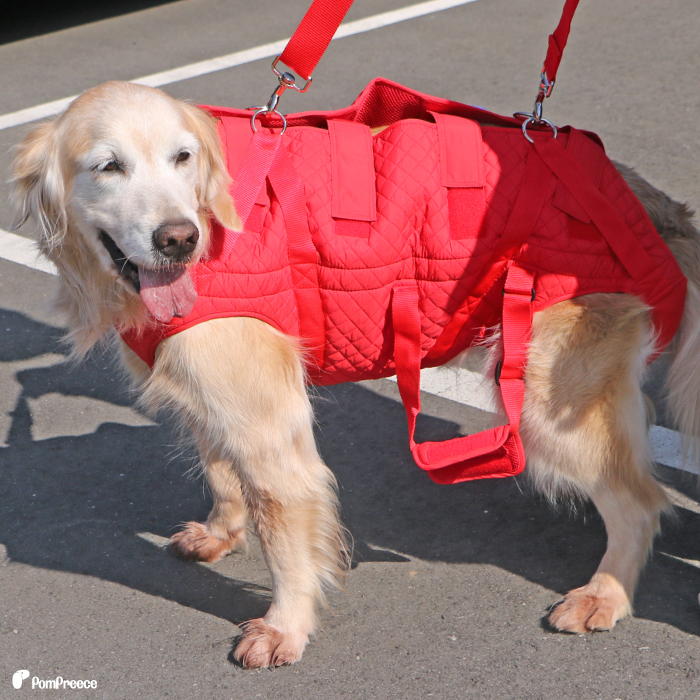 犬 ハーネス 介護用ハーネス 安心 しっかり 軽量 洗える 翌日 配送中