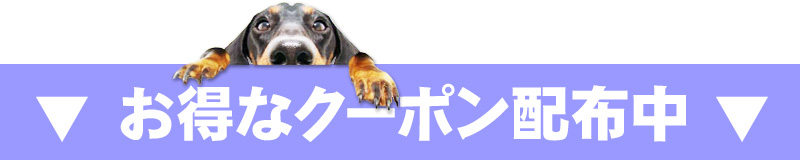 お得なクーポン配布中
