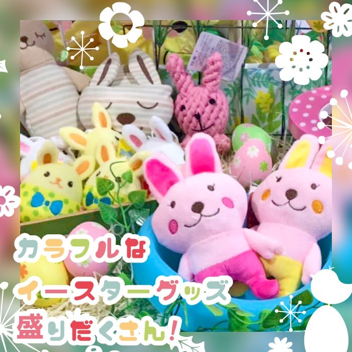 ポンポリース直営Yahoo!店 - 〜Happy イースター festival〜｜Yahoo!ショッピング
