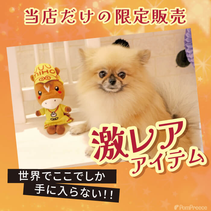 犬 ネコ おもちゃ 音 カミカミ 面白い 首を振る くわえてくる ピーピー 振り回す 持ってくる しつけ キャラクター 公式 コラボ 犬 猫用  おもちゃ みほーす