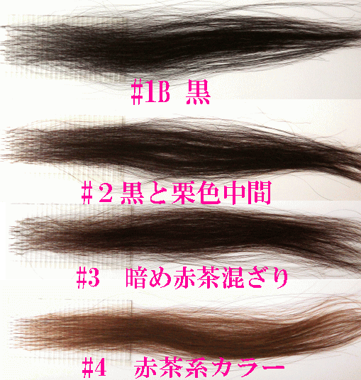 EXLOOP  ヘアループ　増毛エクステ　ニードル 増毛エクステ☆ヘアループ【ニードル】 : SSKサロン - 通販