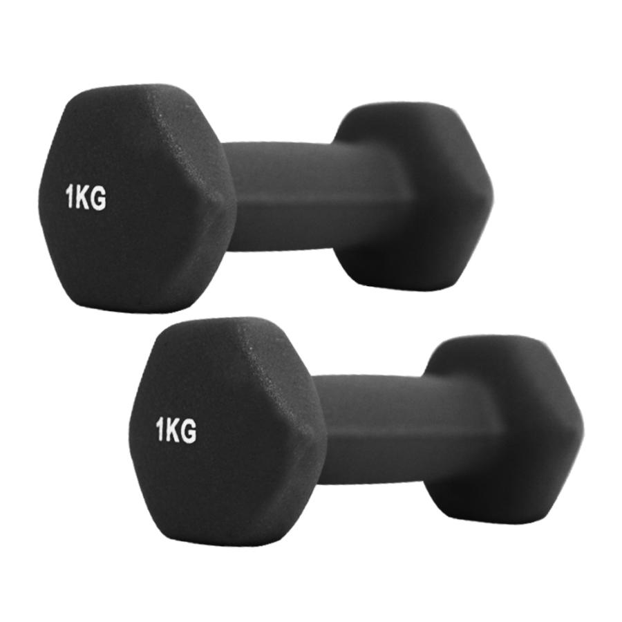 ダンベル 1kg 2個セット カラーダンベル 筋トレ メンズ レディース