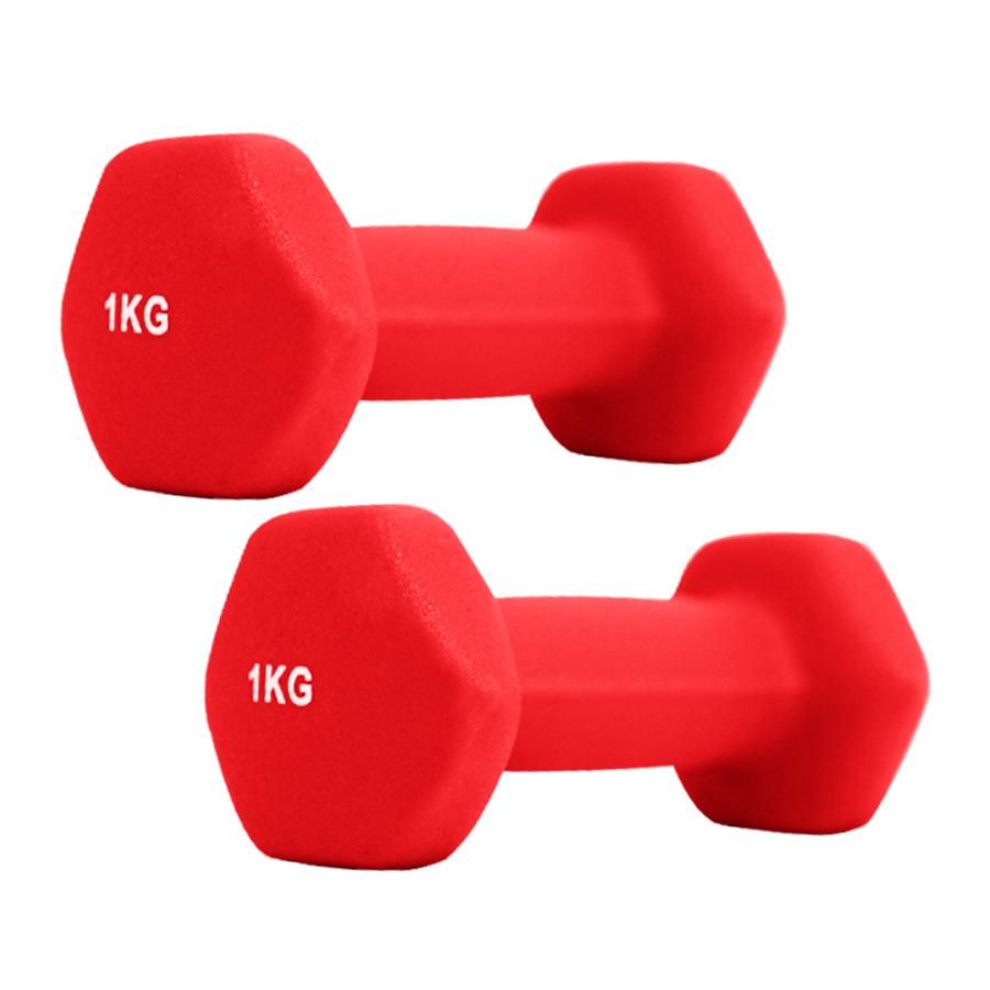 ダンベル 1kg 2個セット カラーダンベル 筋トレ メンズ レディース