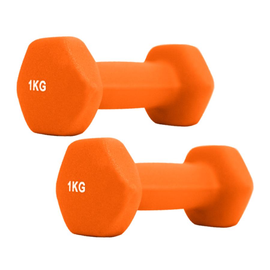 ダンベル 1kg 2個セット カラーダンベル 筋トレ メンズ レディース