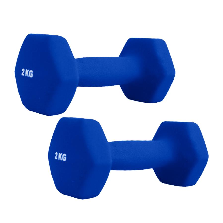 【直接受渡し限定】ダンベル 35kg ２つ トレーニング 筋トレ Amazon | 振って効く!! シェイキングダンベル 【2.2kg グレー