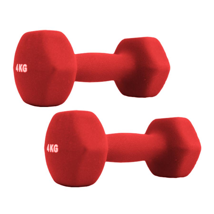 ダンベル 4kg 2個セット カラーダンベル 筋トレ メンズ レディース