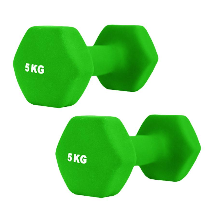 ダンベル　ストロンガー(青)　5kg×2個セット ダンベル ストロンガー(青) 5kg×2個セット