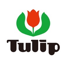 チューリップ ニーナ  Tulip knina