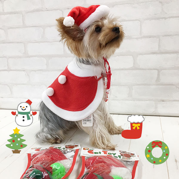 ペット用 サンタ帽 クリスマスグッズ 犬 ペット クリスマス 撮影 衣装