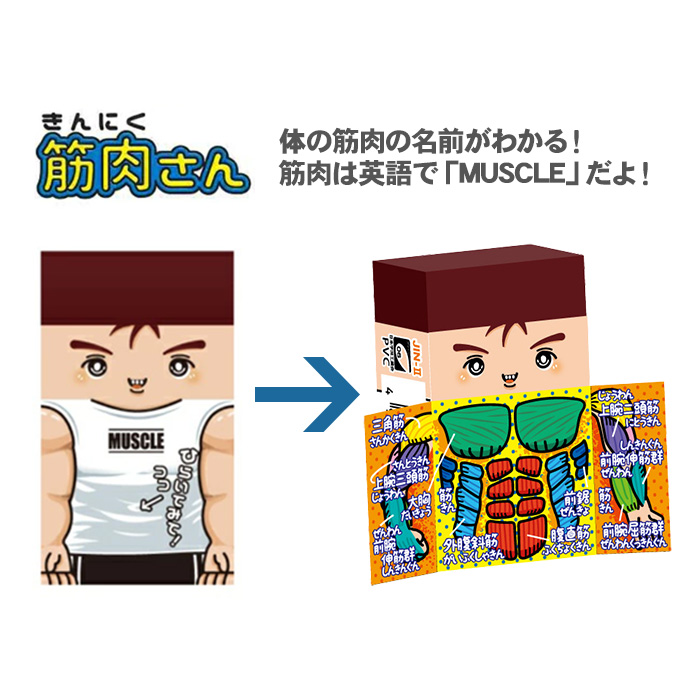けつえき型消しゴム　２個 人体くん2 消しゴム 3個セット ヒノデワシ まとまるくん 第2弾 内蔵