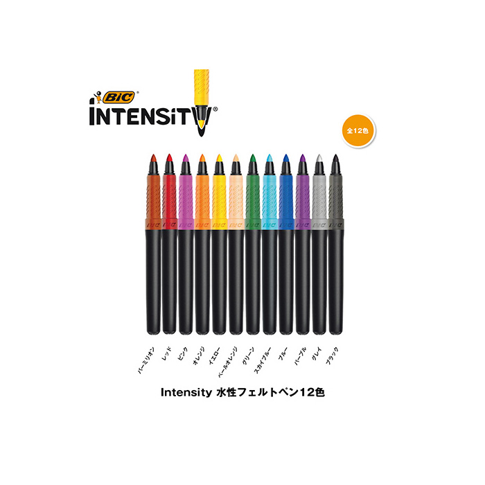 BIC Intensity 水性フェルトペン12色 ITS-FEPFNPK12 0.7mm 水性サインペン 12色 BICインテンシティ  BICIntensity BICジャパン :396:テーマで文具 Yahoo!店 - 通販 - Yahoo!ショッピング