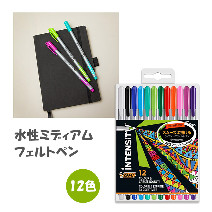 BIC Intensity 水性ミディアムフェルトペン12色 0.8mm 水性サインペン フェルトペン 12色 ITS-FEPMDPK12  インテンシティ BICIntensity BICジャパン :403:テーマで文具 Yahoo!店 - 通販 - Yahoo!ショッピング