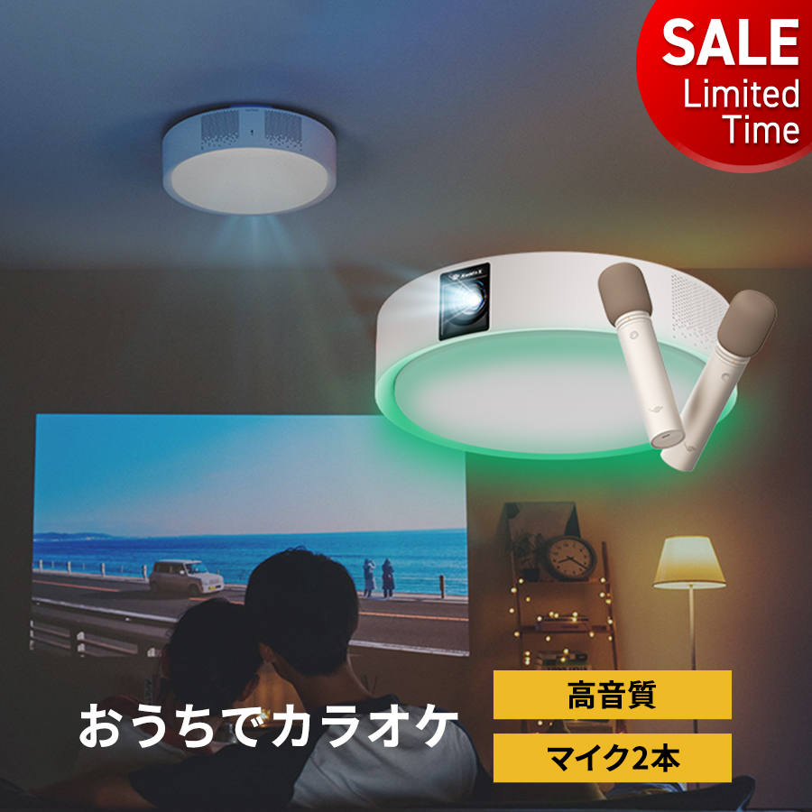 Aladdin Mic 2 2本セット おうちカラオケをボタンひとつでスタート！みんなが集まる魔法の空間を