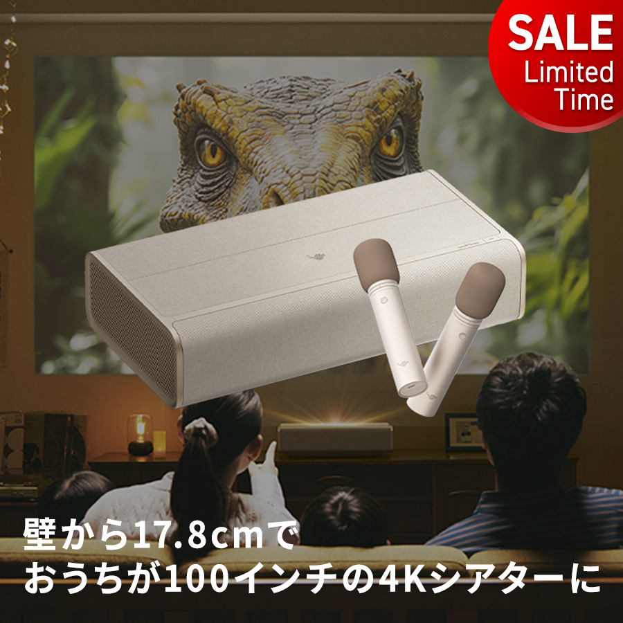 ���Ԍ���62,820�~OFF Aladdin Marca MAX �A���W�� �}���J �}�C�N2 �Z�b�g �v���W�F�N�^�[ �ƒ�p Harman Kardon