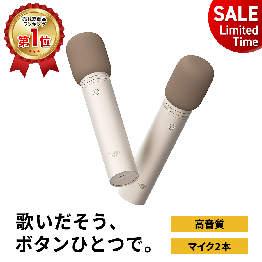 Aladdin Mic 2 カラオケ用マイク2本セット　アラジンマイク2 楽天市場】【期間限定1,280円OFFクーポン発行中】Aladdin マイク2
