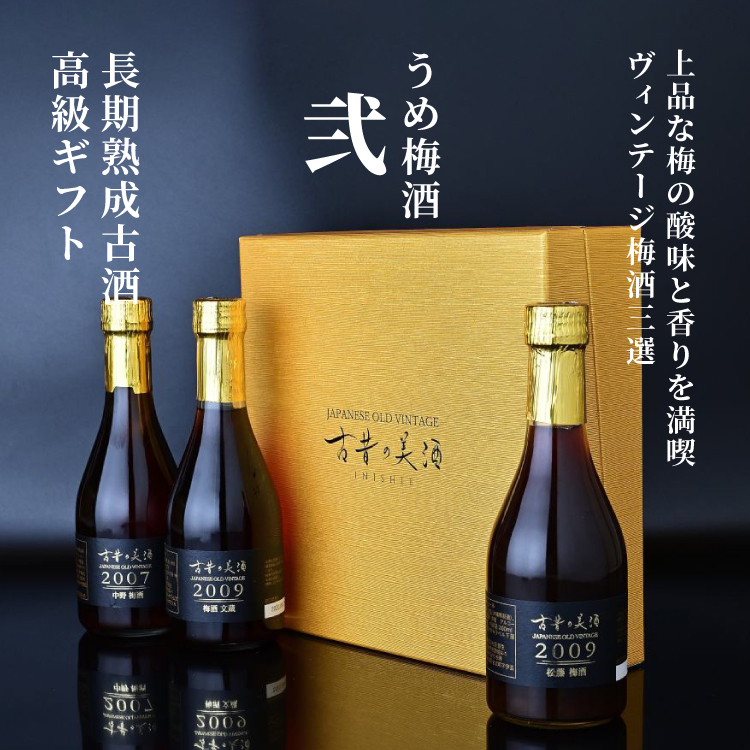 超目玉枠】 本坊酒造 竜峡梅酒720ml瓶×2ケース 全12本 fucoa.cl