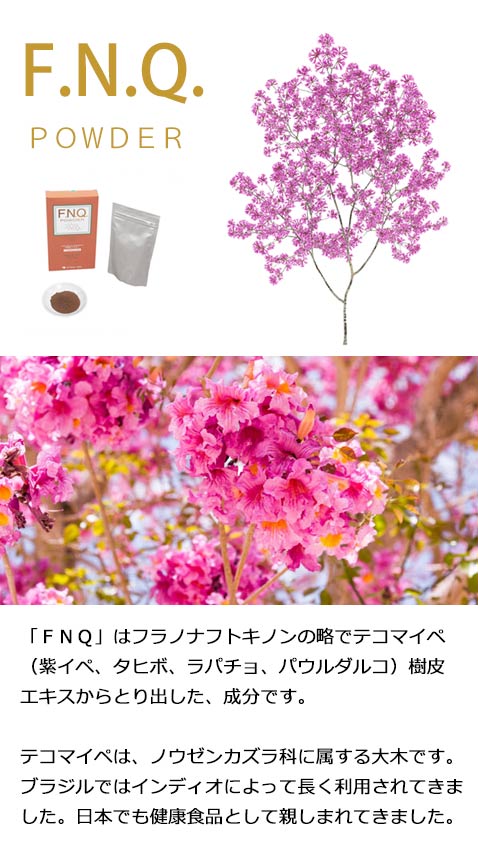 FNQ（エフエヌキュー）90g／テコマイペ・紫イペエキス粉末 : fs509001 : グリーンポプリYahoo店 - 通販 -  Yahoo!ショッピング